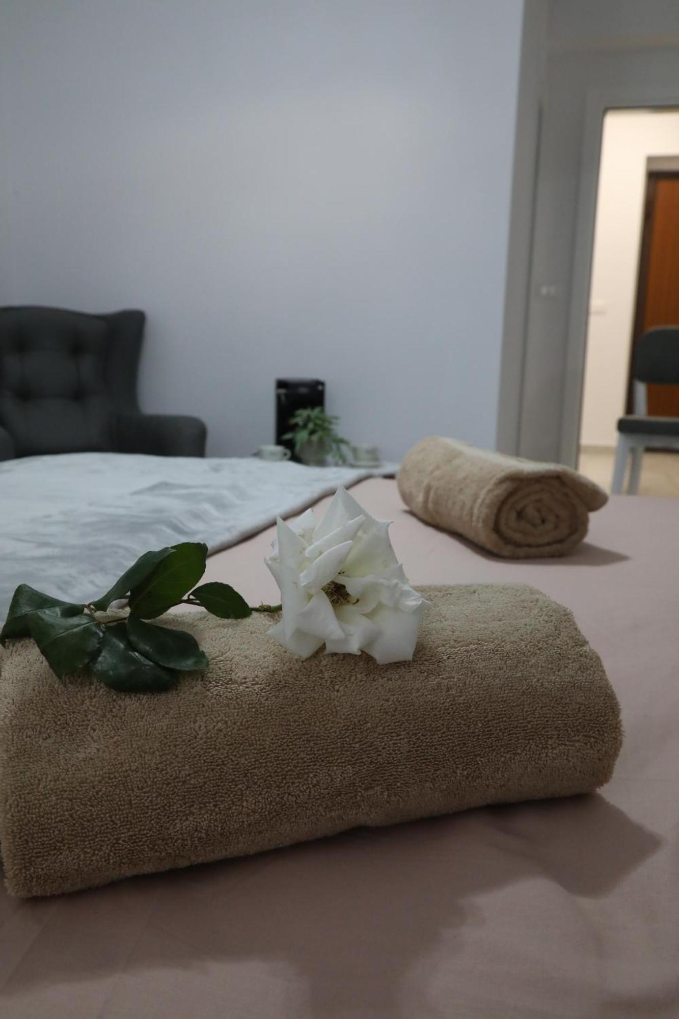 Rozafa Guest Room Center Shkoder Exterior photo